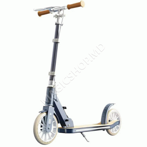 Trotinetă pentru copii cu 2 roți, frână de mână și ghidon reglabil, gri, RTM Scooter (26300)