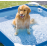 Piscină cu cadru metalic pentru animale de companie Pet Pool 152×152×30 cm, 537 L, filtru 1136 l/h, skimmer și prelată, Intex