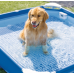 Piscină cu cadru metalic pentru animale de companie Pet Pool 152×152×30 cm, 537 L, filtru 1136 l/h, skimmer și prelată, Intex