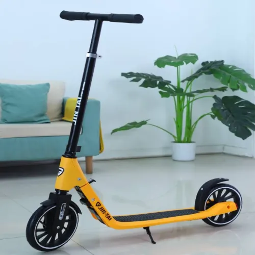 Trotinetă pliabilă pentru copii cu 2 roți, ghidon reglabil și frână de picior, RTM Scooter