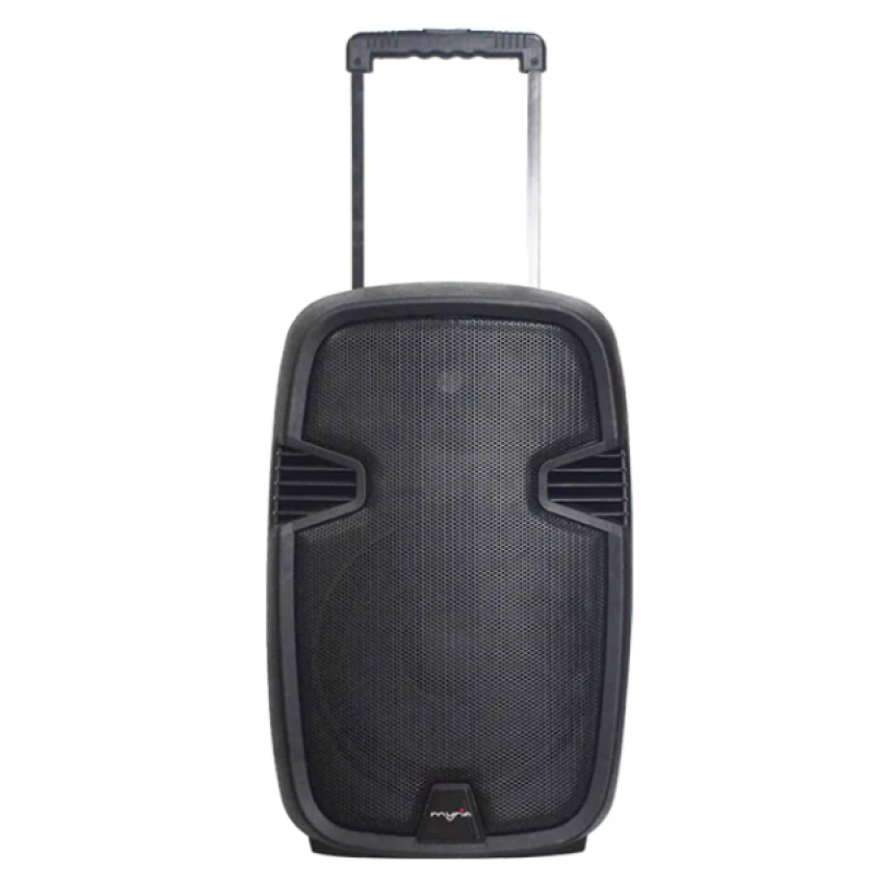 Boxă Portativa Wireless MYRIA MY2621