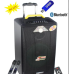 Boxă Portativa Temeisheng QX1214 350w