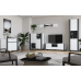 Tumba TV Combo C04 140x46x42 cm grafit/alb