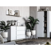 Comodă Concept 1D3S 120x82x40 cm stejar/alb