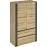 Dulap Combo 100х200х60 grafit/ alb