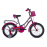 Bicicleta Iron 16