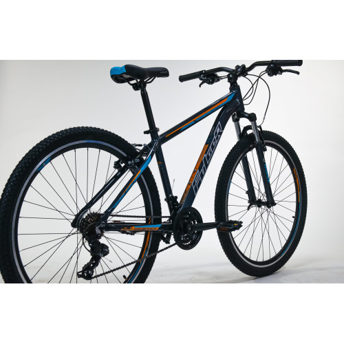Bicicleta Pluton 29