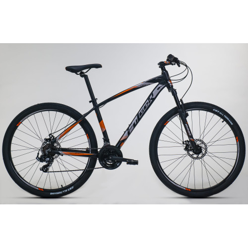 Bicicleta Uranus 29