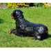 Figurina Cera Rottweiler culcat