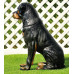 Figurina Cera Rottweiler