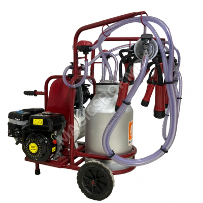 Aparat de muls vaci, 2 posturi, 1bidon 40L inox, pahare inox, 250l/min, 0,55kW si motor termic