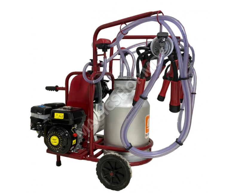 Aparat de muls vaci, 2 posturi, 1bidon 40L inox, pahare inox, 250l/min, 0,55kW si motor termic