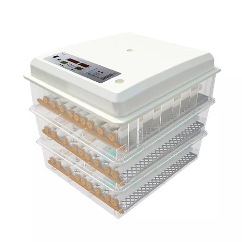 Incubator de oua Demetra DM-176