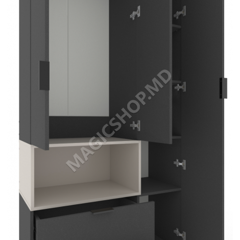 Dulap cu usi batante Nex Home A002L, 100x42x230 cm, Anthracit/Cashmere