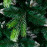 Brad artificial glob YALUNKA 2.20m, Verde, PVC+PE