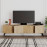 Comoda / Consola DUNE TV, lotus, hitit